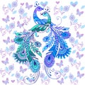 Hand drawn magic bird. Colorful peacocks for your design