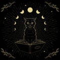 Hand drawn Magical and mystical black cat