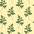 Hand drawn maidenhair pattern