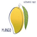 Hand drawn mango icon.Vector illustration of Vietnamese fruit isolated on white background.