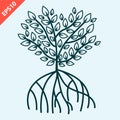 Hand drawn Mangrove tree vector design illustration Royalty Free Stock Photo