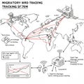 Hand-drawn map illustrating a migratory bird tracking system across the world. Red Royalty Free Stock Photo
