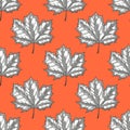 Hand Drawn Maple Leaf Seamless Pattern. Vector Royalty Free Stock Photo