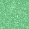 Hand Drawn Maple Leaf Seamless Pattern. Vector Royalty Free Stock Photo