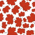 Hand Drawn Maple Leaf Seamless Pattern. Vector Royalty Free Stock Photo