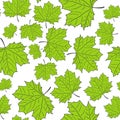 Hand Drawn Maple Leaf Seamless Pattern. Vector Royalty Free Stock Photo