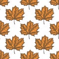 Hand Drawn Maple Leaf Seamless Pattern. Vector Royalty Free Stock Photo