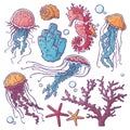 Hand drawn Marine life collection. Vector jellyfish, coral, algae, seahorse and starfish.