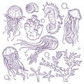 Hand drawn Marine life collection. Vector jellyfish, coral, algae, seahorse and starfish.