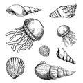 Hand Drawn marine life doodles set. Sketch style icons. Decoration element. Isolated on white background. Flat design. Vector ill Royalty Free Stock Photo