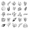 Hand Drawn marine life doodles set. Sketch style icons. Decoration element. Isolated on white background. Flat design. Vector Royalty Free Stock Photo