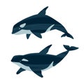 Two killer whales. Ocean animals in trendy flat style.