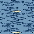 Hand drawn marine seamless pattern blue and yellow color a group of Pattern seamless Atlantic mackerel fish on white background.