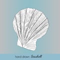 Hand drawn marine seashell. Vector illustration