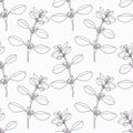 Hand drawn marjoram branch outline seamless