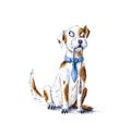 Hand drawn illustration of a smart dog ready for walk Royalty Free Stock Photo