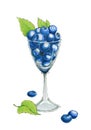 Hand drawn marker illustration of wine glass full of blueberries with three green leaves isolated