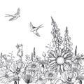 Hand drawn meadow flowers and swallows. Vector illustration