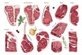 Hand drawn meat elements set. Steak cuts set.