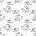 Hand drawn melissa branch outline seamless pattern