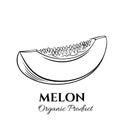 Hand drawn melon icon.