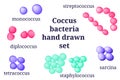 Arrangements of coccus bacterial microorganism.