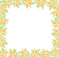 Hand drawn mimosa flowers frame background