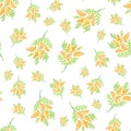 Hand drawn mimosa flowers seamless pattern background