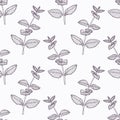 Hand drawn mint branch outline seamless pattern