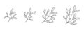 Hand drawn mistletoe set. sketchy vector elements for christmas and new year design Royalty Free Stock Photo