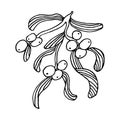 Hand drawn mistletoe. Vector Christmas plant background. Romantic Christmas illustration. Royalty Free Stock Photo