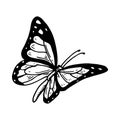 Hand drawn monarch butterfly isolated of white. Vector illustration in sketch style Royalty Free Stock Photo