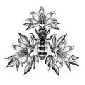 Hand Drawn Monochrome Bee with Lily Flowers