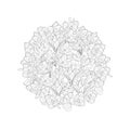 Hand drawn monochrome crocus flowers round arrangement. Floral design element. Isolated on white background. Vector