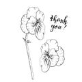 Hand drawn monochrome pansy flowers clipart. Floral design element. Side view. Isolated on white background. Vector Royalty Free Stock Photo