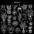 Hand-drawn monochrome plants in pots on black background.