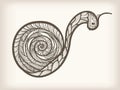 Hand drawn monochrome snail Royalty Free Stock Photo