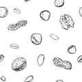 Hand drawn monochrome vector seamless pattern of walnuts, hazelnuts, pistachios, peanuts. sketch. Vector eps 8.