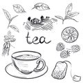 Hand drawn monochrome vector set of tea cup, leaf, dogrose, raspberry, farm. sketch. Vector eps 8 Royalty Free Stock Photo