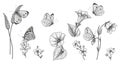 Hand Drawn Monochrome Wild Flowers  and Butterflies Set Royalty Free Stock Photo