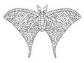 Hand-drawn moth colouring page for adults vector illustration Royalty Free Stock Photo