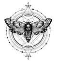 Hand-drawn moth Dead Head on the background of magical symbols and signs in a circle. Witchcraft, occult attributes