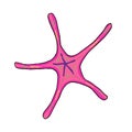 Hand-drawn multi-colored vector starfish