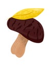 Hand-drawn mushroom with brown cap and cream stalk. Wild forest fungus, natural edible bolete. Autumn harvesting concept