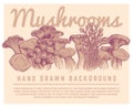 Hand drawn mushrooms background. Autumn gourmet truffles champignon oyster mushroom sketch vector illustration