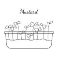Hand drawn mustard micro greens. Vector illustration in sketch style isolated on white background. Royalty Free Stock Photo