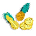 Hand drawn Natural pineapple, chopped and whole.Organic food concept.Eco friendly,vegan,vegetarian.For the design of