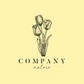 hand drawn nature tulip flower vintage logo Royalty Free Stock Photo