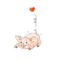 Hand drawn naughty pig. Cute funny piglet and heart isolated on white background. Romantic Collection Illustration. Royalty Free Stock Photo