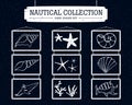 Hand drawn nautical collection of shells, starfish, and seaweed vector illustrations.